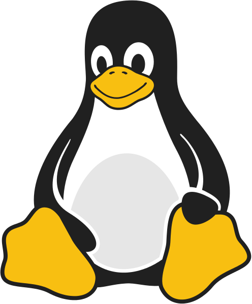 Simple steps you can take to help secure your Linux server